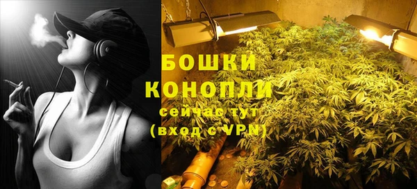 прущие крисы Приозерск